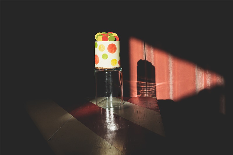 TWIGGY fotoshoot,detail